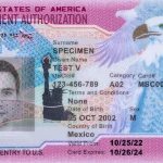 Employment Authorization Document (EAD)